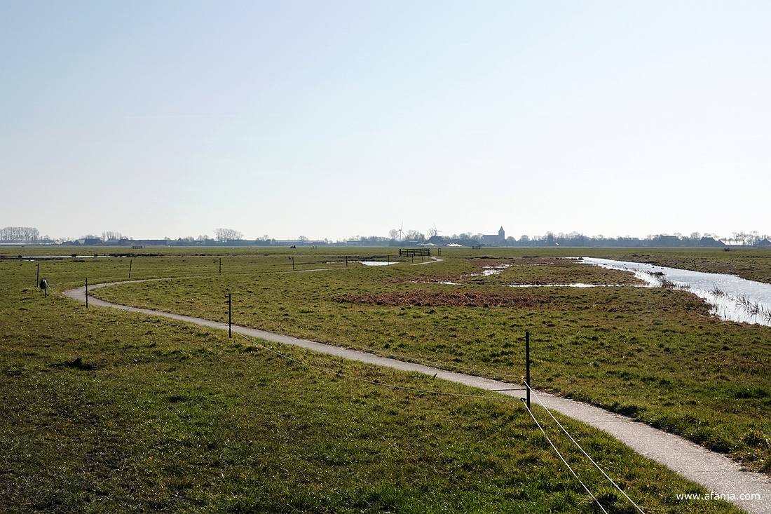 een wandelpad door de weilanden, in de verte is de kerktoren van Easterein te zien