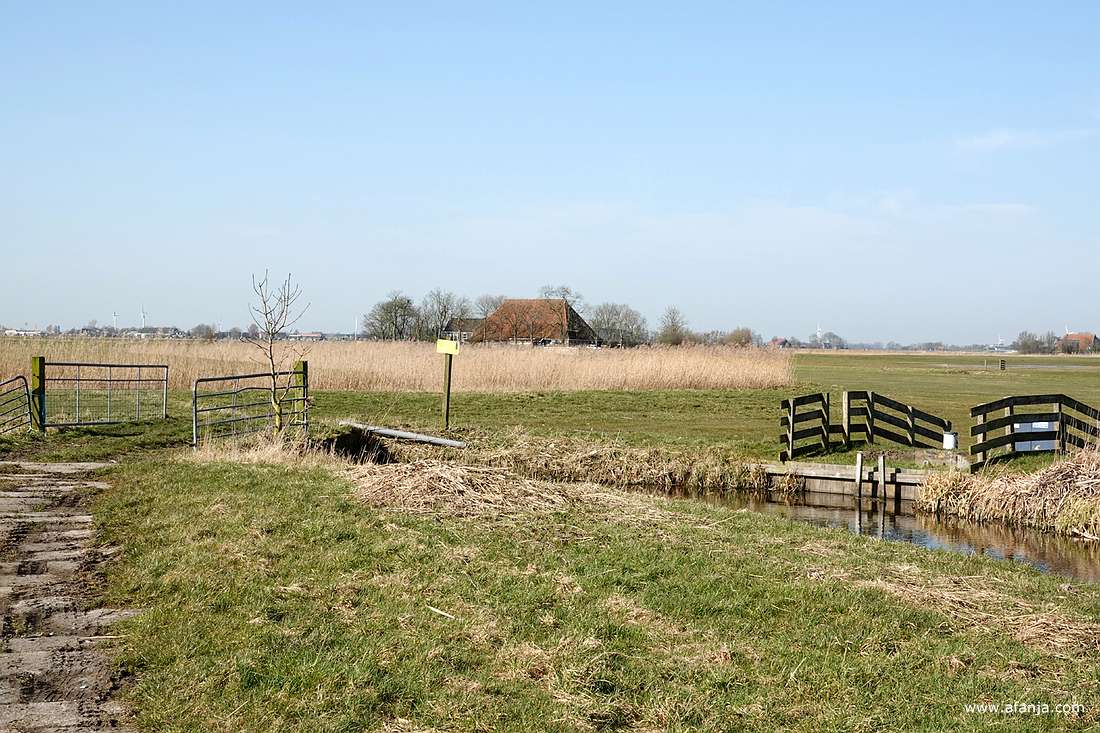 vogelweidegebied Skrok van Natuurmonumenten