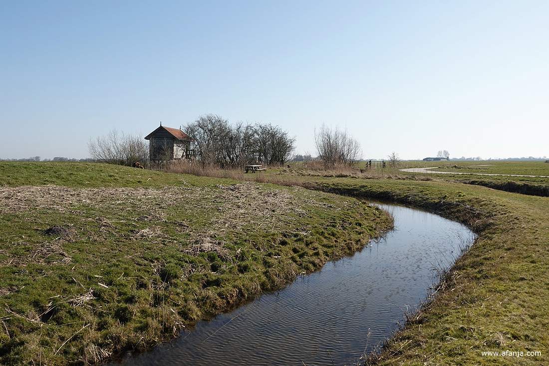 onderweg naar de vogelkijkhut Skrins