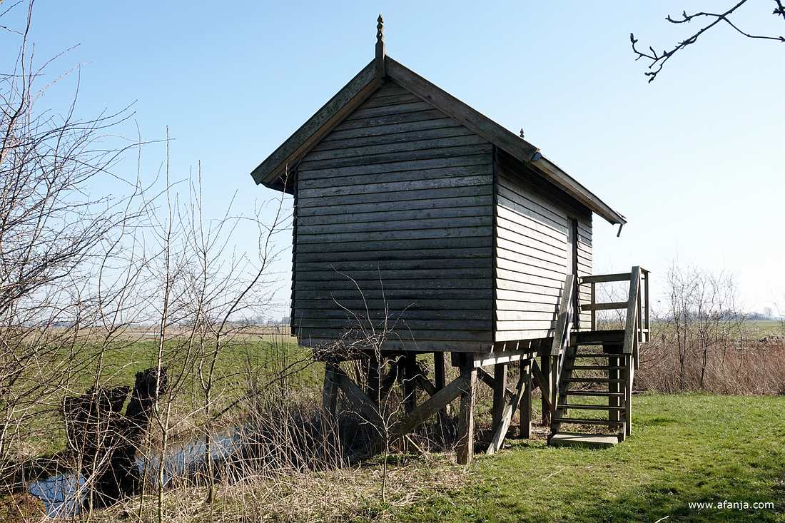 de vogelkijkhut bij Skrins