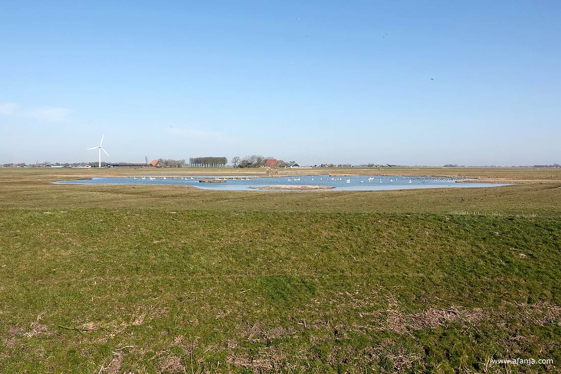 uitzicht op de plas in de verte vanuit de vogelkijkhut bij Skrins