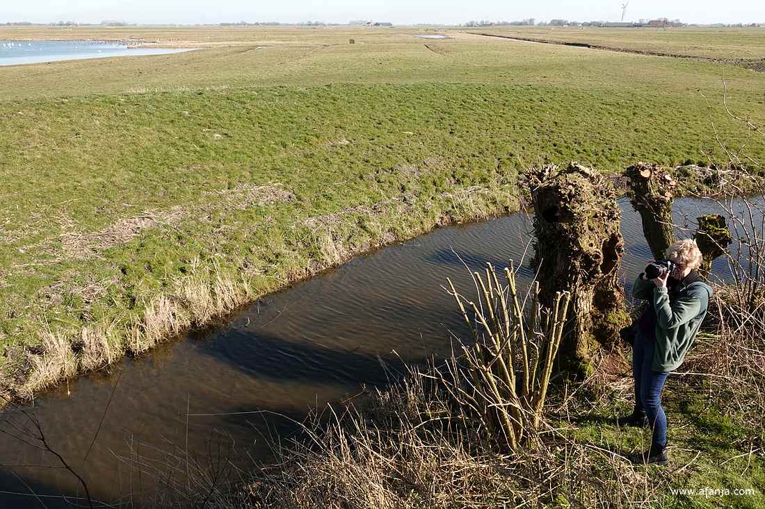 Jetske staat aan de voorkant van de vogelkijkhut