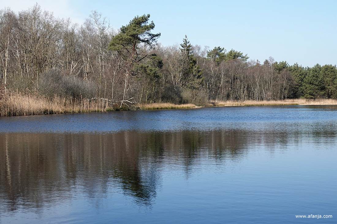 bij het vennetje de Catspoele