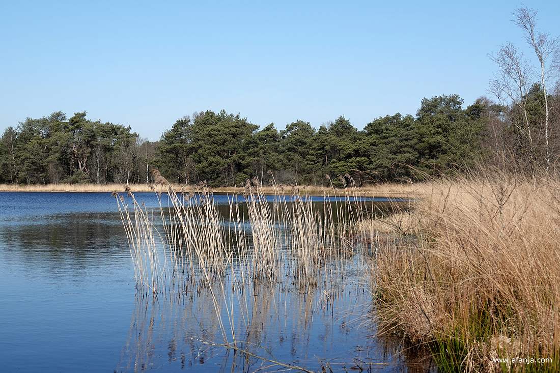 bij het vennetje de Catspoele