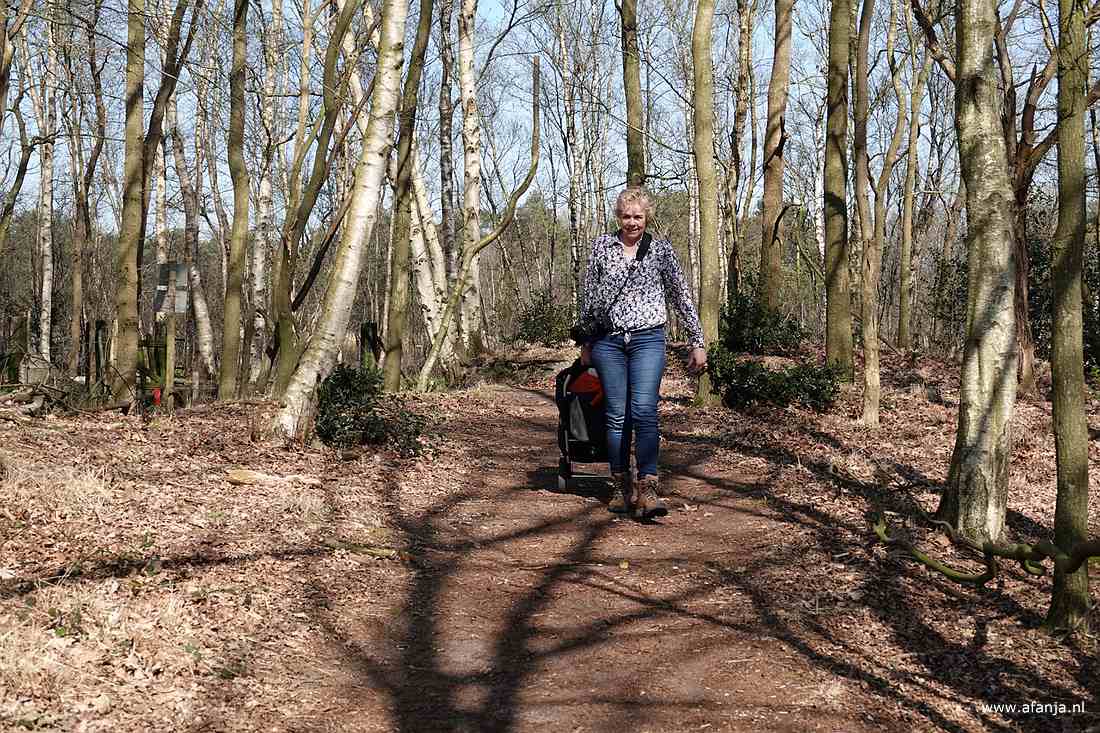 we gaan een stukje door het bos