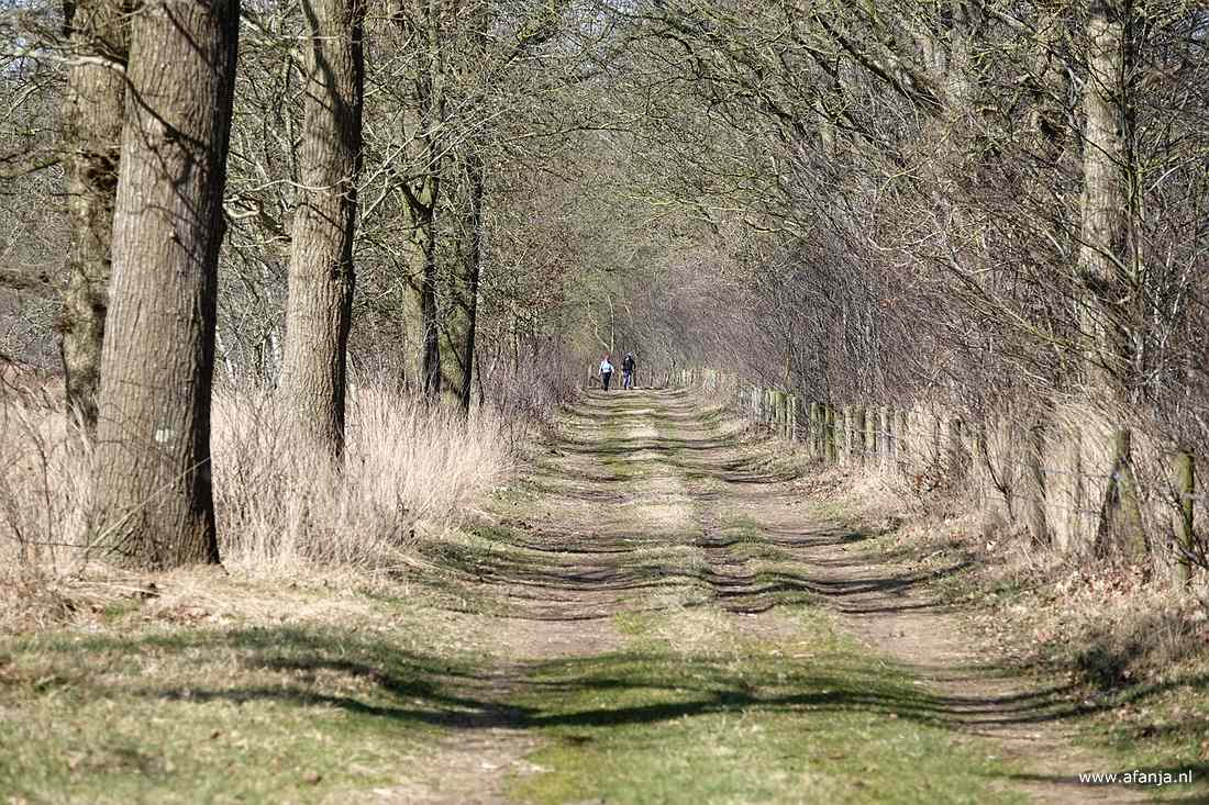 in de verte lopen een paar naderende wandelaars