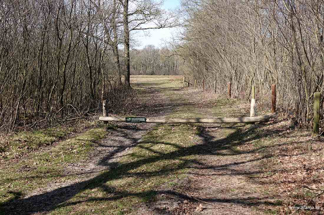 verder mogen we niet