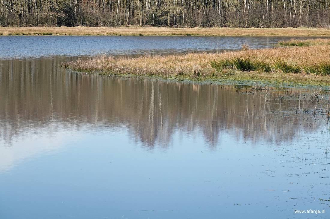 weerspiegelingen in een ven
