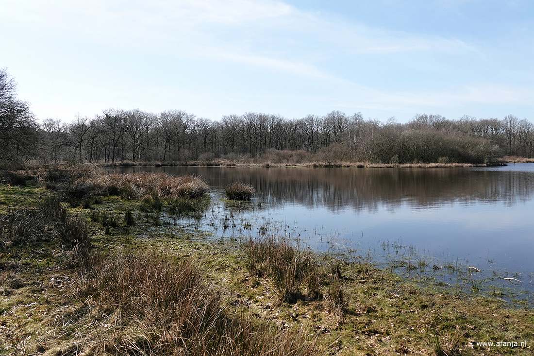 een ven in de Dellebuursterheide - wat een rust