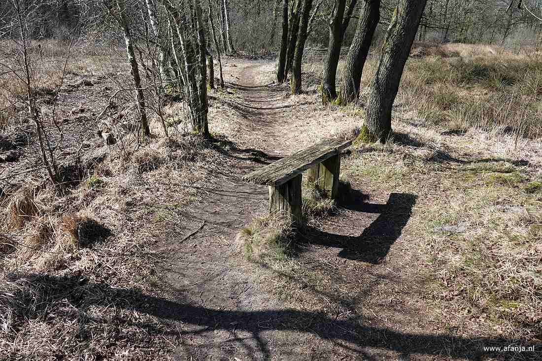 een oud bankje op het pad