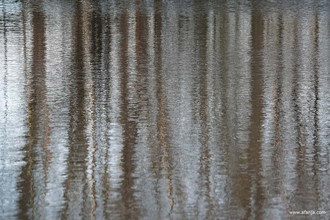 de weerspiegeling van bomen in het water