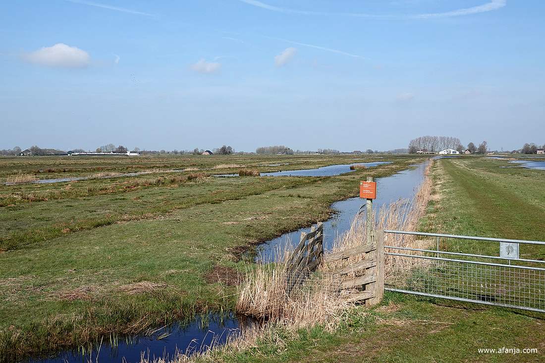 plasdras-land in de Surhuizumermieden