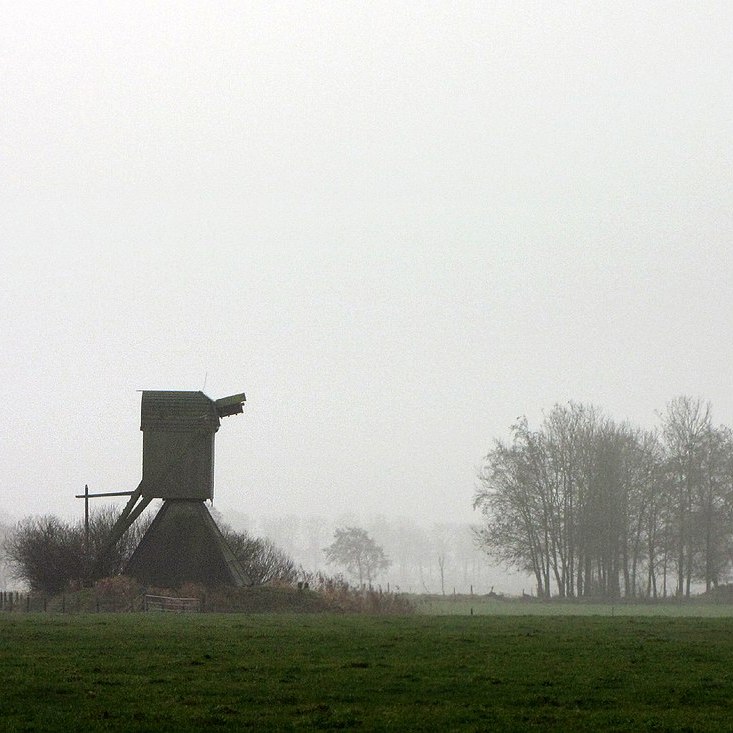 de Roekmole in de polder Krieke bij Warniahuizen in 2008