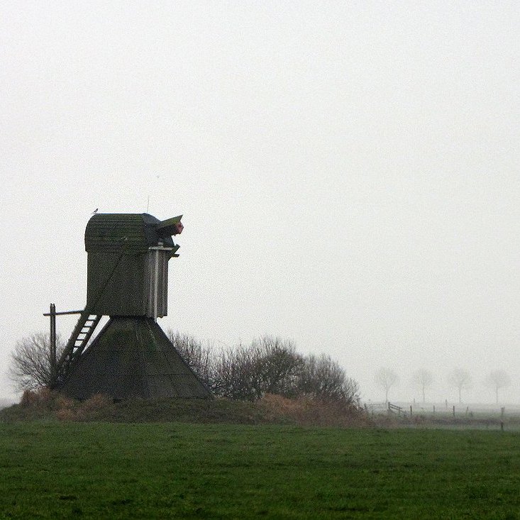 de Roekmole in de polder Krieke bij Warniahuizen in 2008