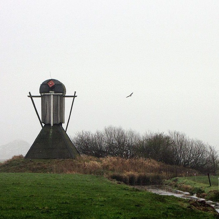 de Roekmole in de polder Krieke bij Warniahuizen in 2008