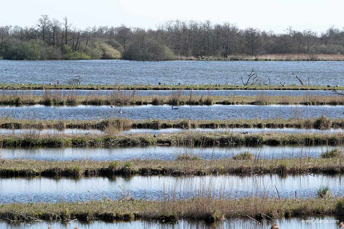 oude smalle legakkers als stille getuigen van de vervening in dit gebied