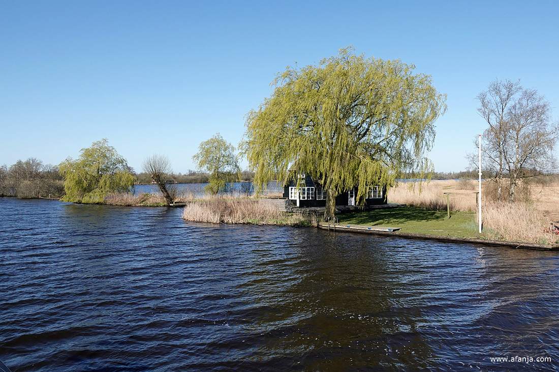 een optrekje in 'de Alde Feanen' dat half verscholen staat achter een treurwilg