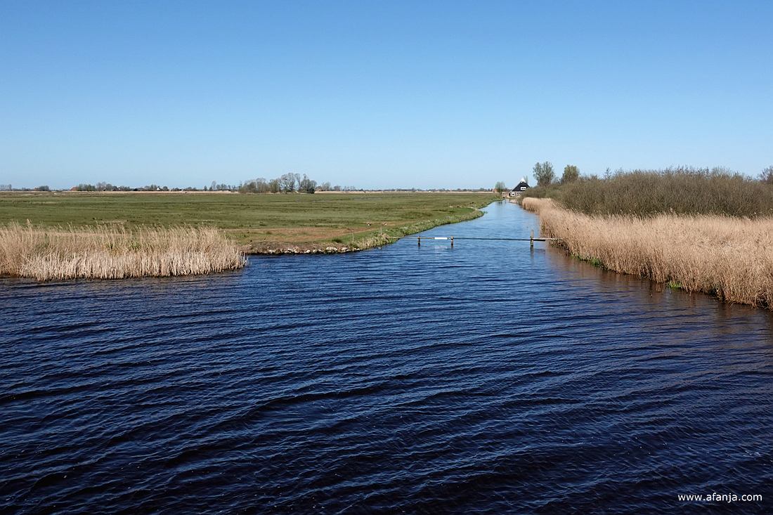 in de verte een boerderij in 'de Alde Feanen'