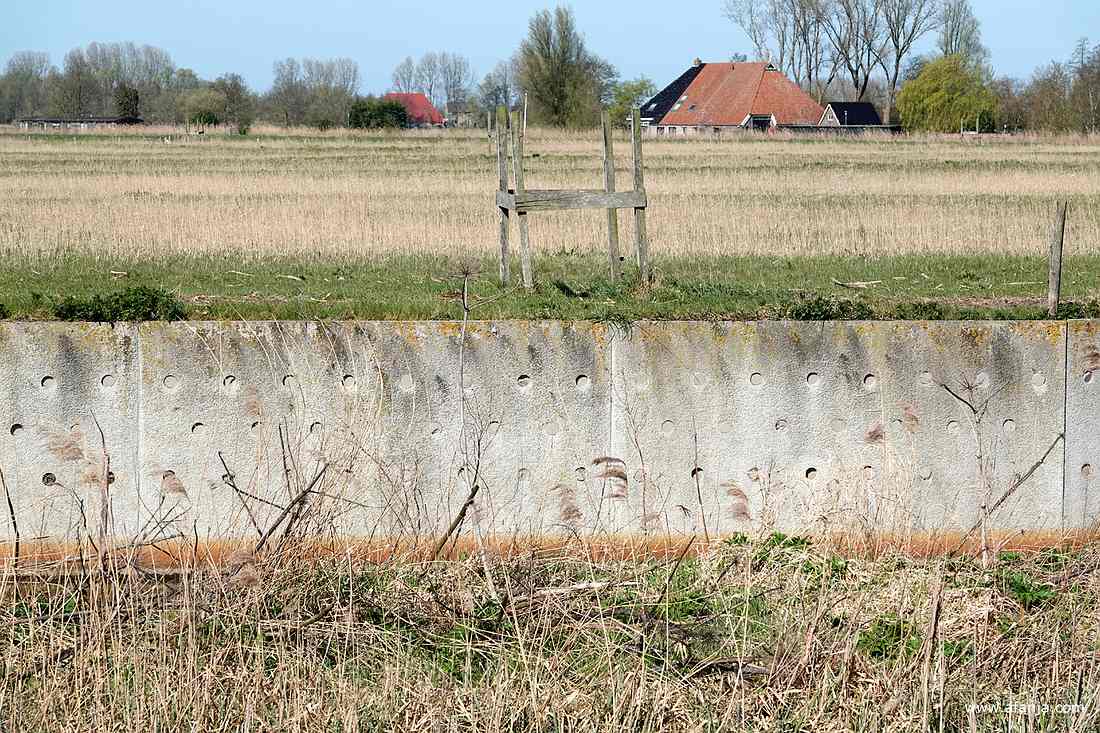 we passeren een oeverzwaluwenwand waar het nog erg rustig is
