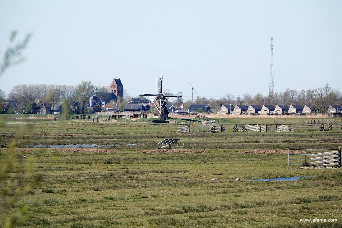 in het midden staat 'de Borgmolen', links van de molen staat de kerktoren van Grou en rechts staat de zendmast in Irnsum