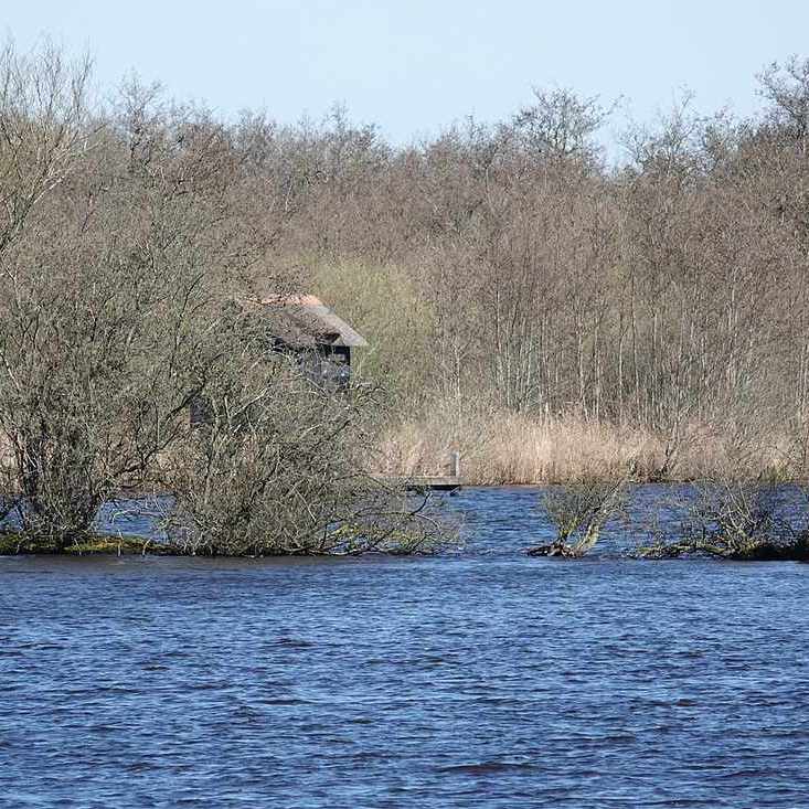 een geïsoleerd liggende vogelkijkhut in de Grutte Krite