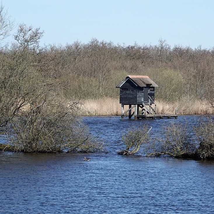 een geïsoleerd liggende vogelkijkhut in de Grutte Krite