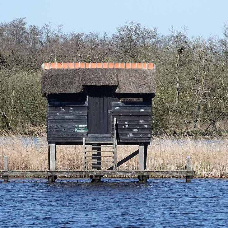een geïsoleerd liggende vogelkijkhut in de Grutte Krite