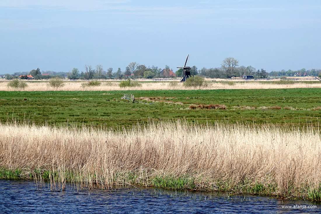 in de verte staat de Roekmole sinds 2010 op It Eilân West