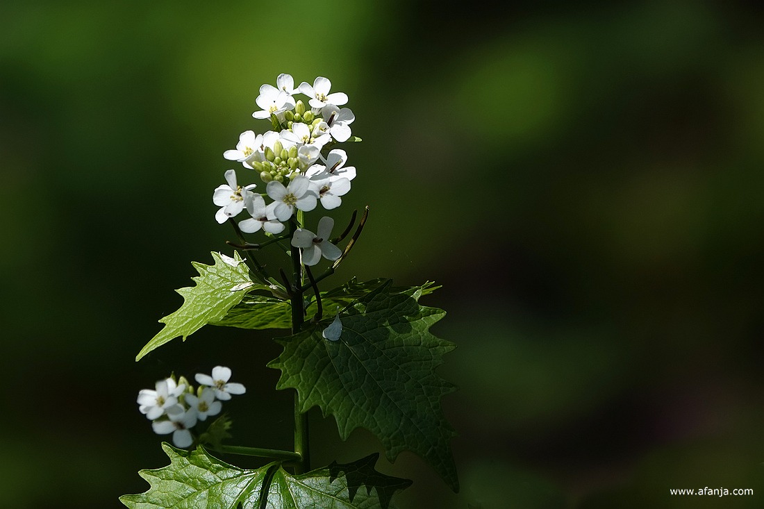 look zonder look(?) in de Ecokathedraal