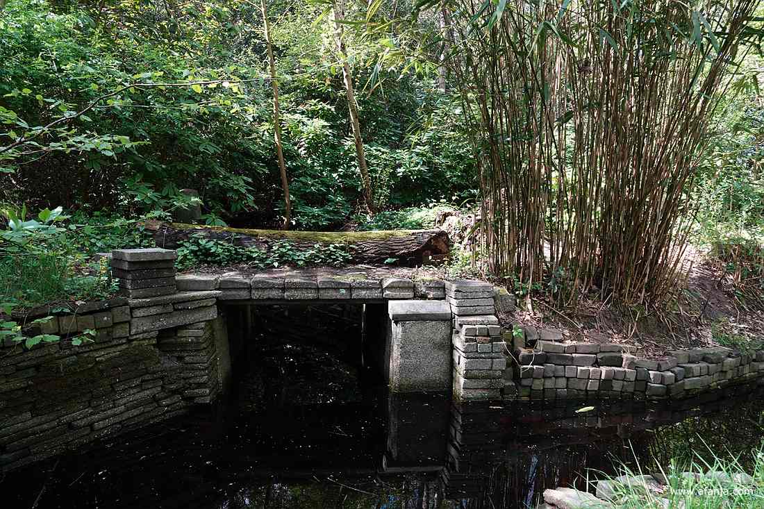 een vijver met walkanten van los gestapelde stenen
