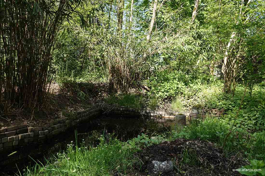 een vijver met walkanten van los gestapelde stenen