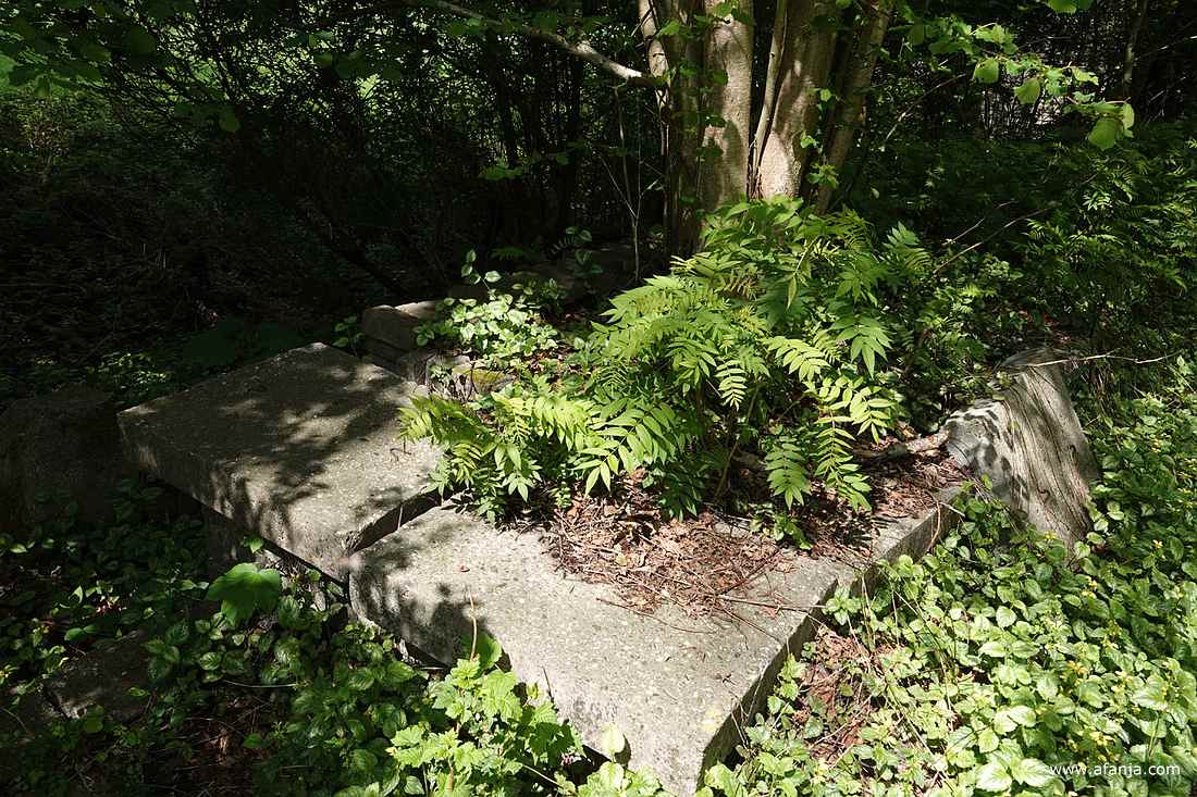 los gestapelde bouwwerken worden steeds meer begroeid door diverse planten