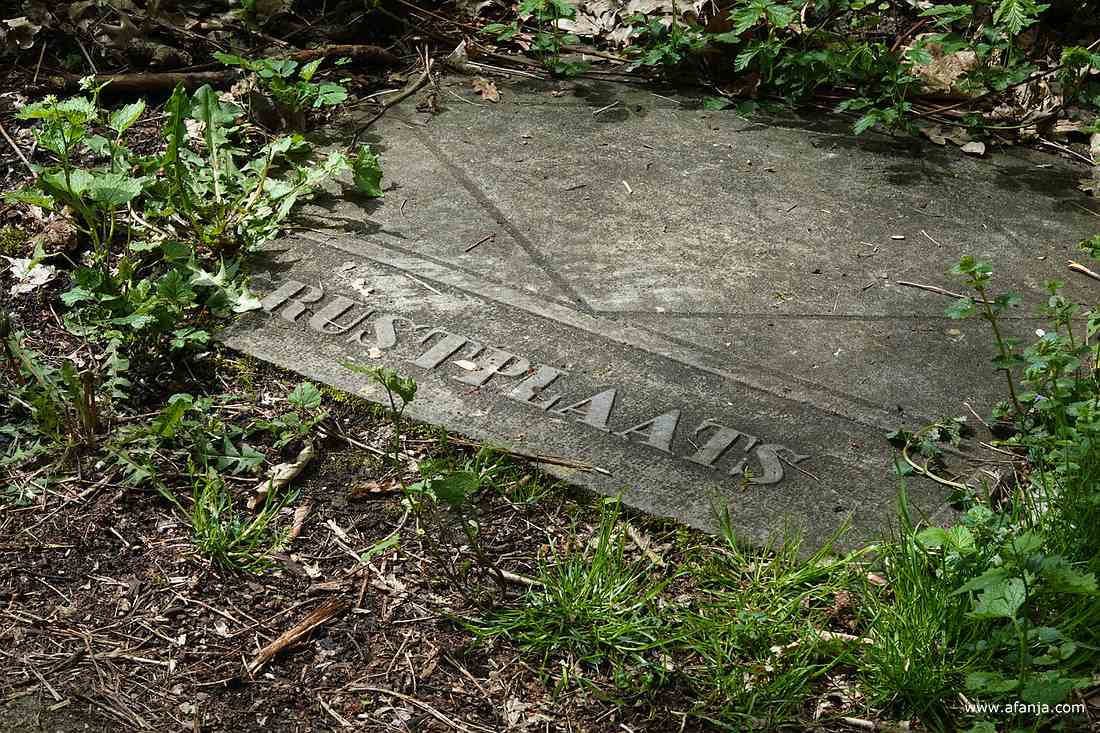 bij mijn vaste rustplaats in de Ecokathedraal