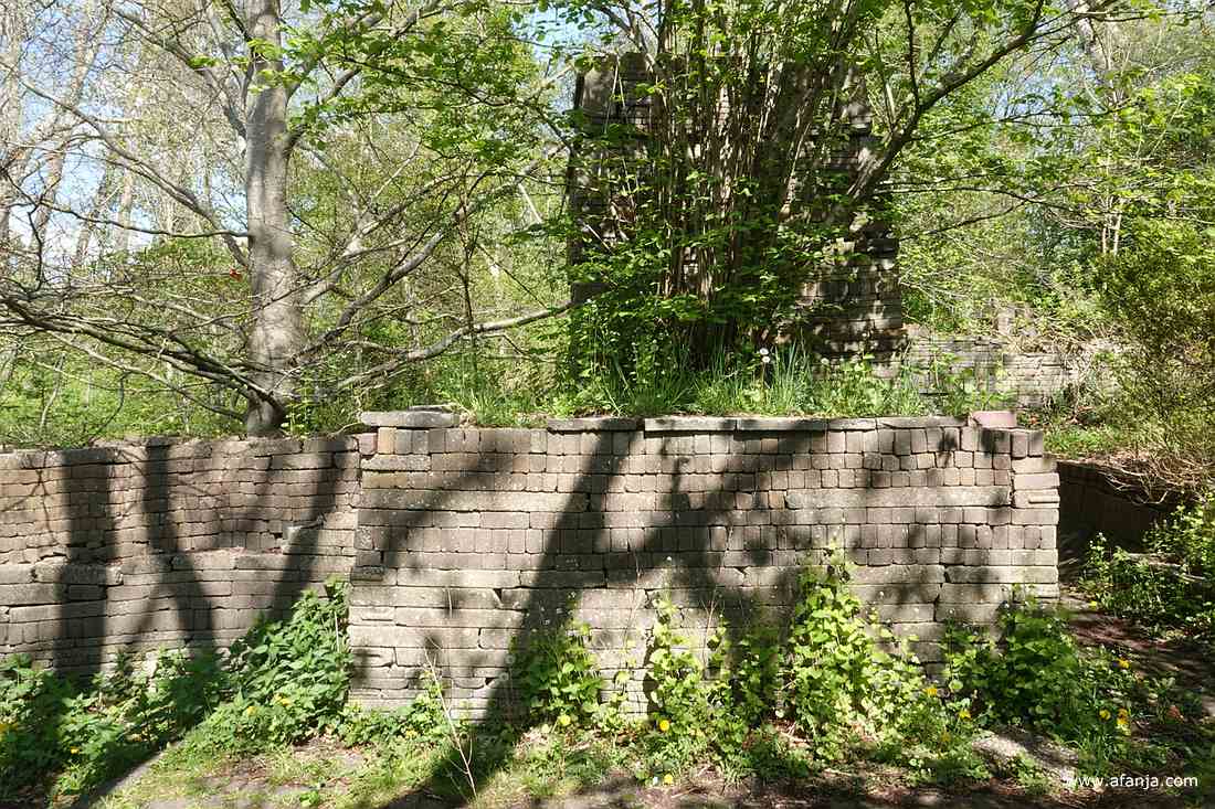 los gestapelde bouwwerken worden steeds meer begroeid door diverse planten