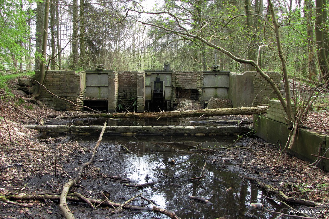 een vervallen model in het Waterloopbos in april 2011