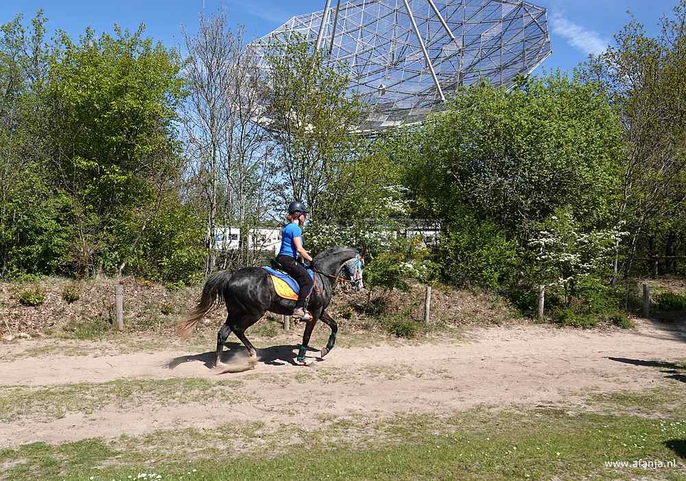 een amazone passeert de Radiotelescoop Dwingeloo