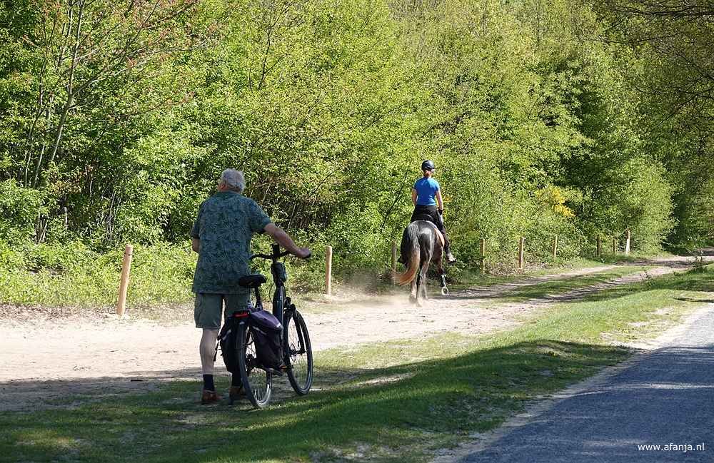 de fietser staat nog naar de radiotelescoop te kijken, de amazone rijdt gewoon door