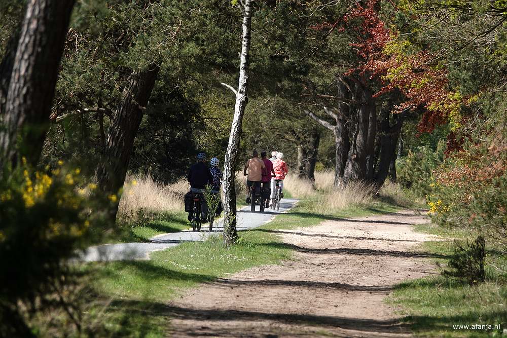 langs het Dwingelderveld