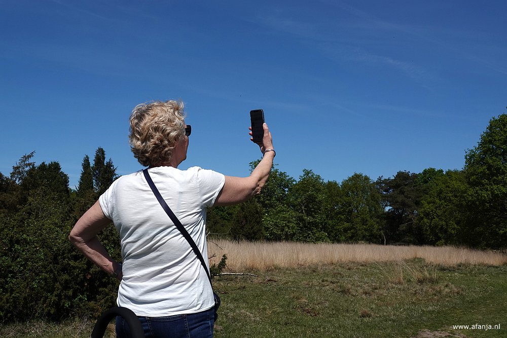 Jetske luistert samen met Merlin of er vogels in de buurt zitten