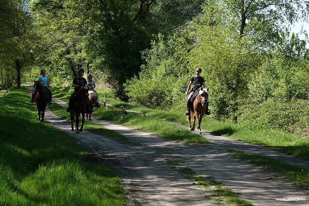 er naderen vijf amazones over het pad