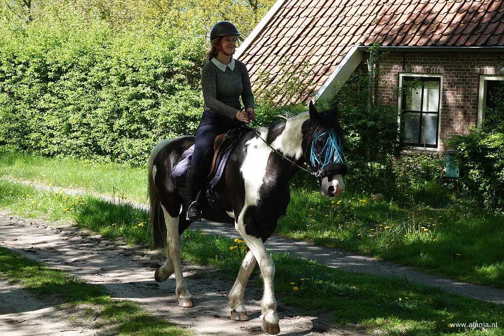 een amazone loopt langs ons