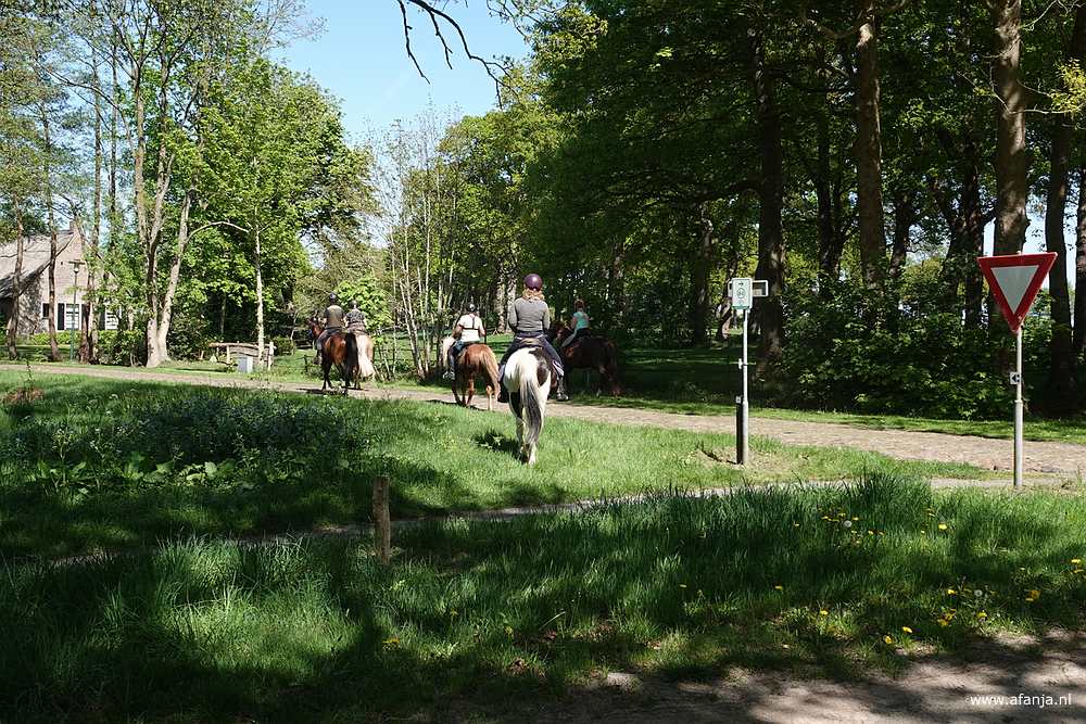 de amazones vervolgen hun weg