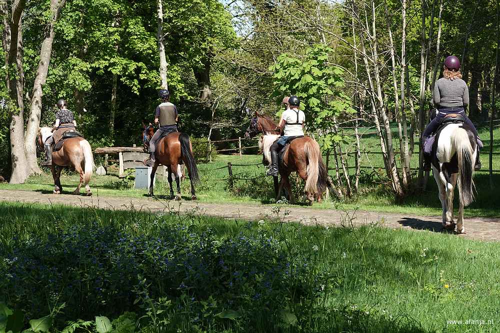de amazones vervolgen hun weg