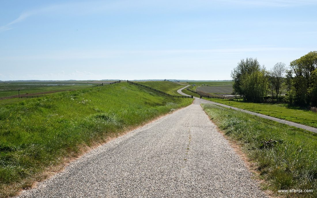 we dalen de zeedijk af aan de landzijde