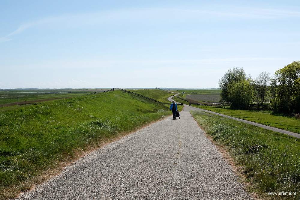 uitzicht vanaf de kruin van de dijk, verderop nadert mijn fotomaatje met haar rollende cameratas