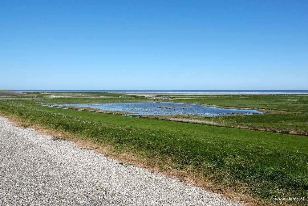 uitzicht over de Peazemerlânnen en de Waddenzee