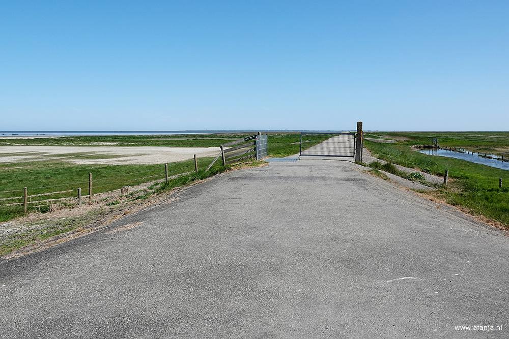 een deels gesloten hek met een vee-rooster aan het begin van de strekdam