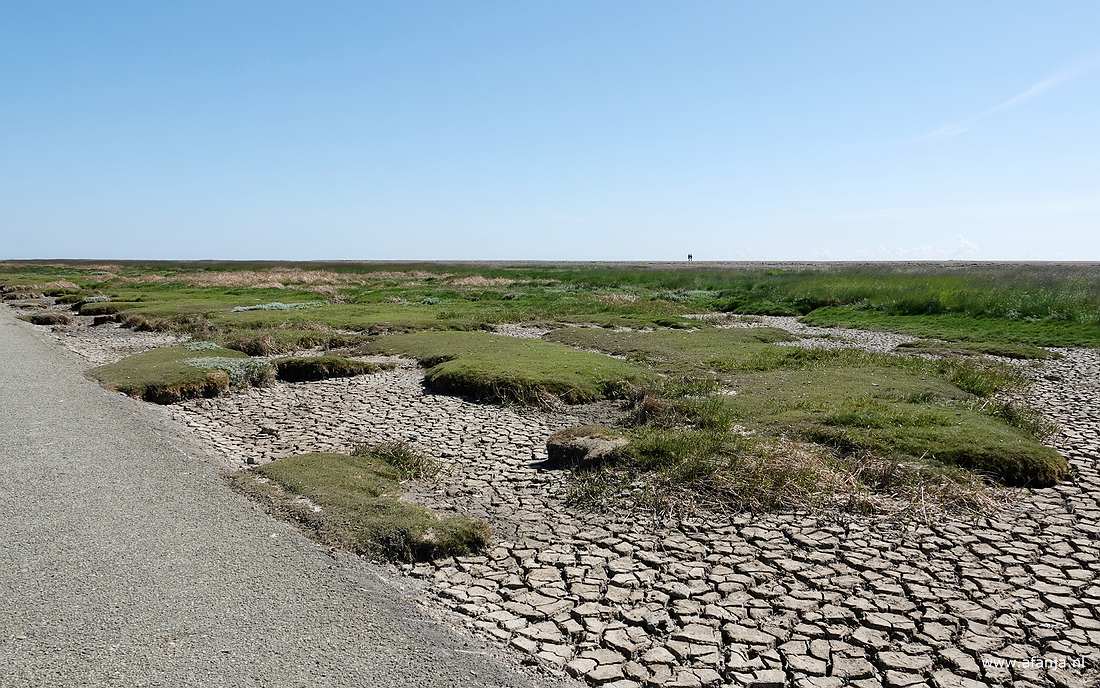 wandelaars langs het Wad