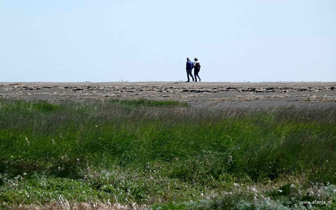 wandelaars langs het Wad