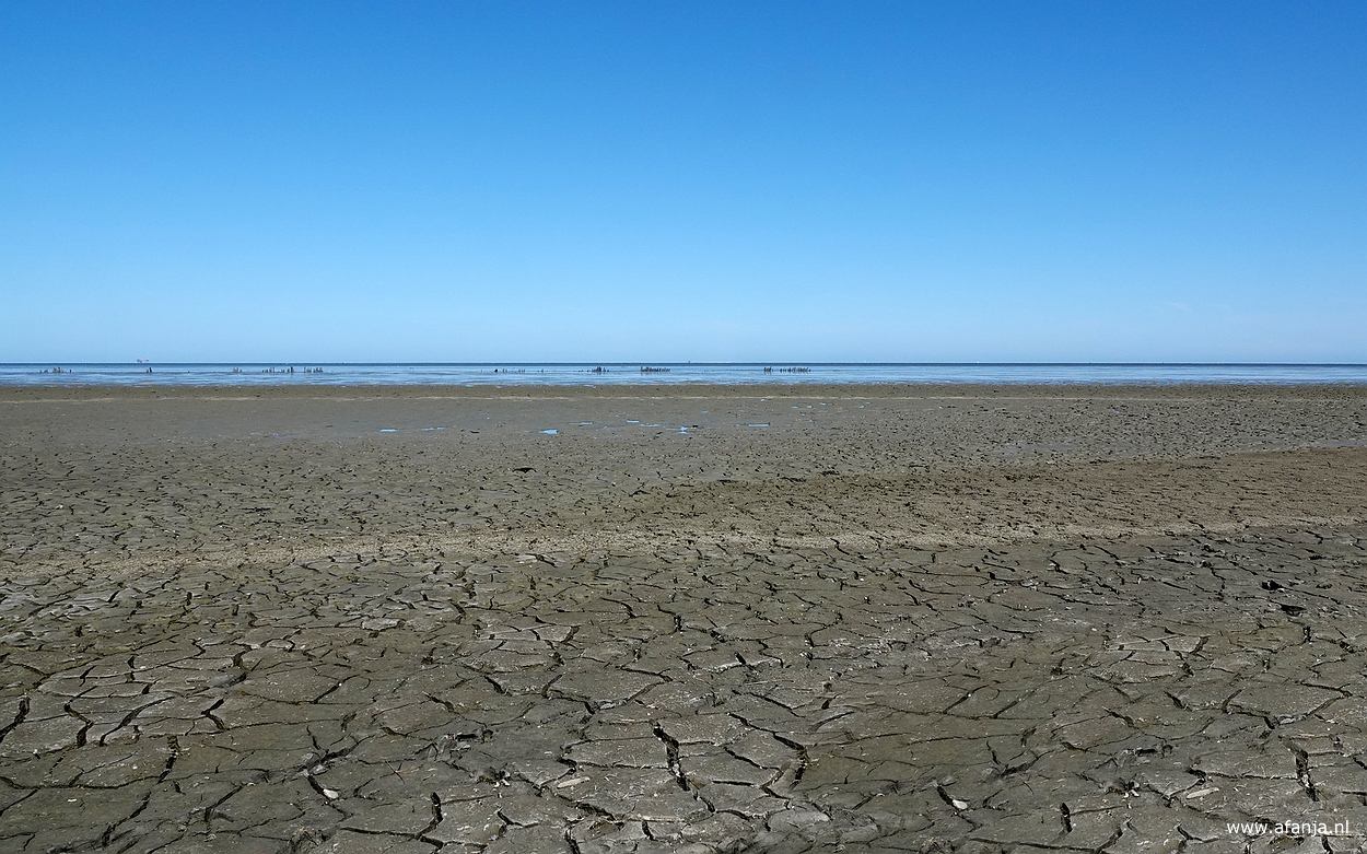 het Wad gezien vanaf de strekdam langs de Peazemerlânnen